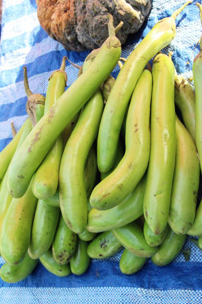 新鲜茄子绿色有机在街道食物