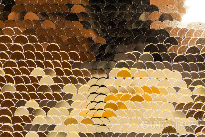 鱼鳞片金黄闪亮闪闪发光在不同的颜色所有的魅力