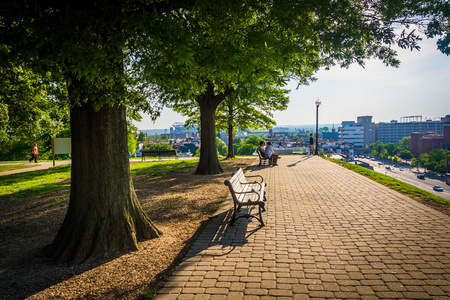 树木和沿路径在巴尔的摩联邦山公园长椅