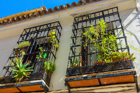 典型的 windows 与窗花和装饰花在城市