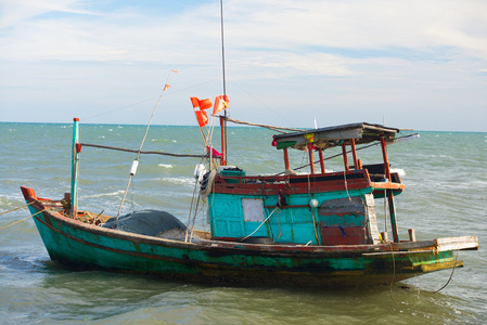 木蟒蛇越南渔船蟒蛇照片