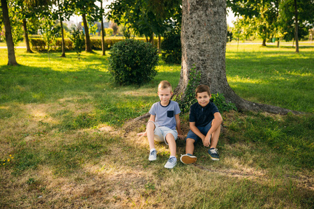 两个男孩坐在树边的草地上。八岁儿童在公园里消磨时间