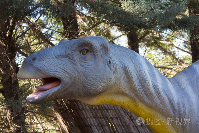 缓慢的食草恐龙腕龙