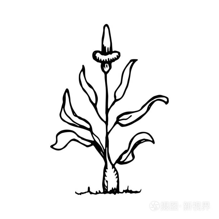 在白色背景上被隔绝的向量插画-正版商用图片08w9pn-摄图新视界