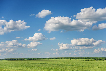 广阔的夏季田野, 绿草, 高蓝的天空与白色积云