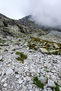 Rysy 山脉的顶峰笼罩在薄雾中。在岩石远足小径上的秋季上升。斯洛伐克和波兰边境