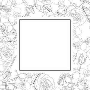 玫瑰和虹膜花轮廓框横幅牌边框。在白色背景下被隔离。矢量插图