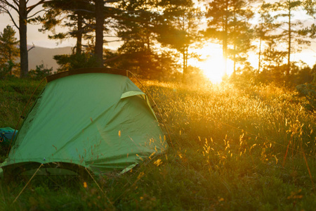在日落或日出时在森林里露营。明亮的阳光。帐篷和森林树木。放松假期娱乐冥想和休息的概念