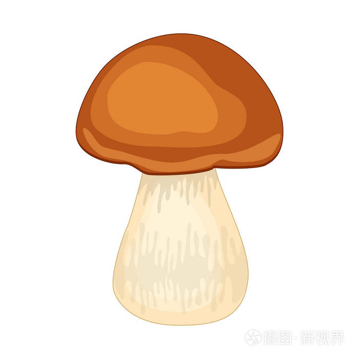 卡通牛肝菌蘑菇在白色背景下分离插画-正版商用图片08wrxn-摄图新视界