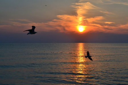 美丽的夕阳在海