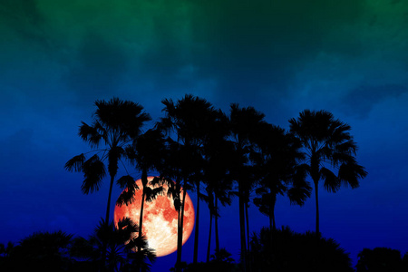 超级满月背面剪影高棕榈在黑暗的夜空, 这张图片的元素由美国宇航局装备