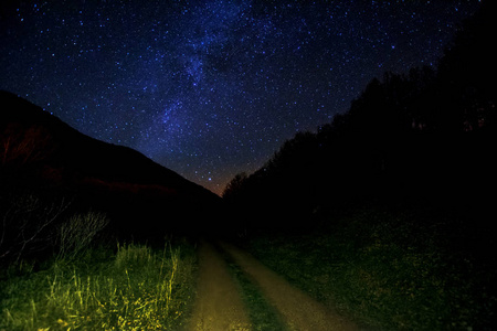 空的尘土路在夜在星空下与银河星系和黑暗的森林树剪影