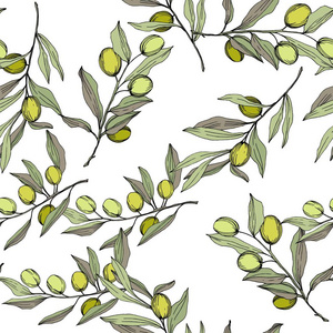 橄榄树在向量样式隔离。绿色雕刻水墨艺术