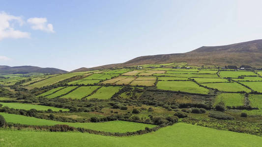 在晴朗的天气中鸟瞰典型的爱尔兰风景