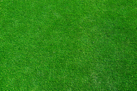 绿草上的露水与水在清晨的绿色季节里落下.美丽的散景.抽象背景模糊.