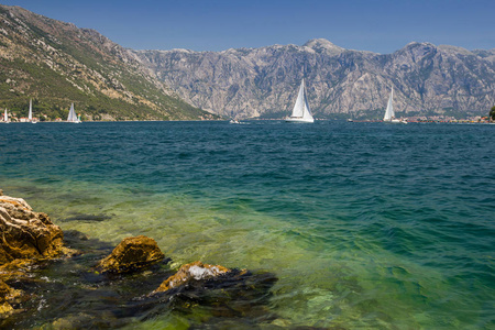 阳光明媚的地中海风光。黑山, Kotor 湾