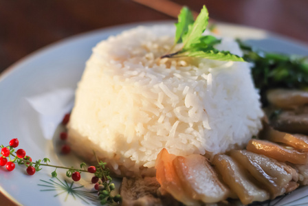猪肉炖米饭和蔬菜 泰国快餐