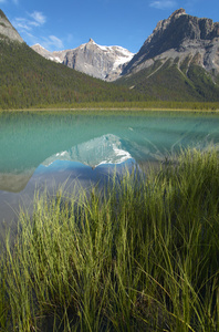 翡翠湖景观。不列颠哥伦比亚省。加拿大