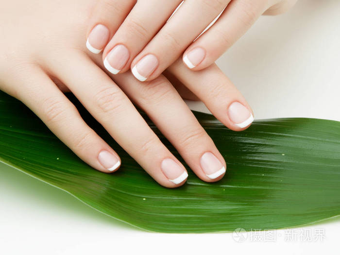 美丽细腻的手指甲和绿叶特写在白色隔离一张女性手在水疗沙龙修指甲的