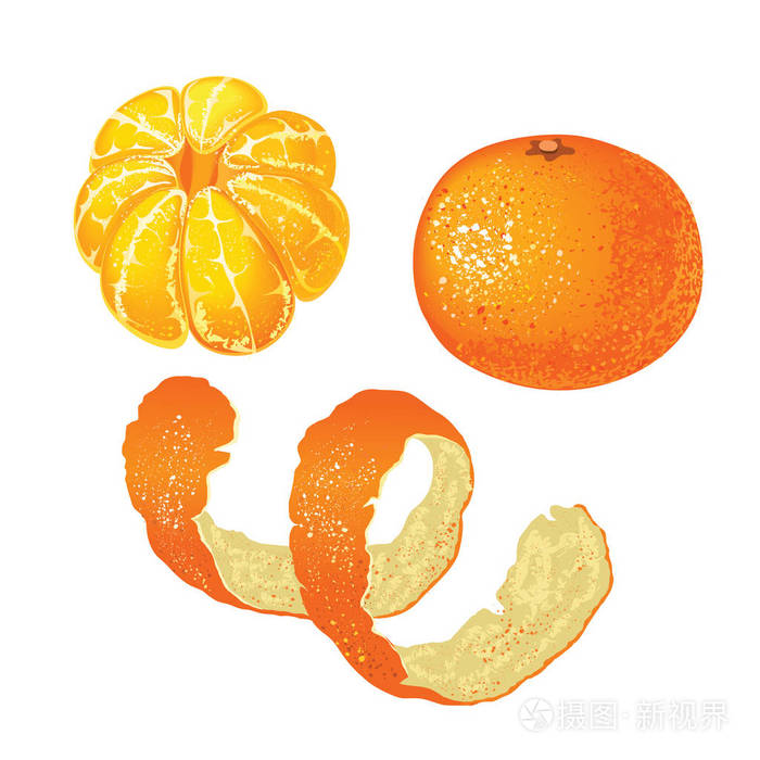 一套全柑橘, 去皮的普通话和橘皮查出的白色背景插画-正版商用图片08x