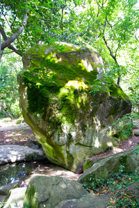 一条巨大的石头, 靠近小溪, 有一条美丽的绿色苔藓