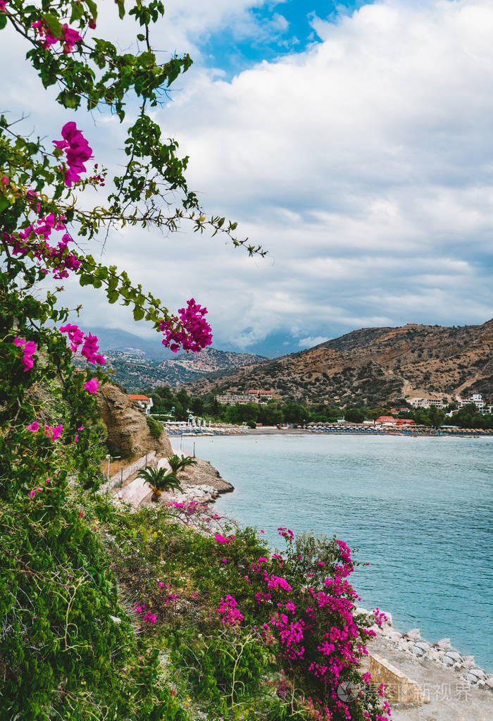 图片在风景如画的希腊岛上的叶子花在山和天空和云彩背景
