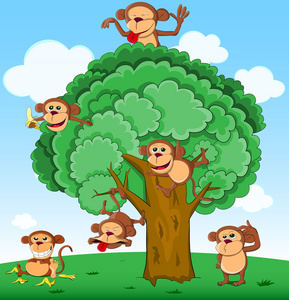 在树上的猴子图片