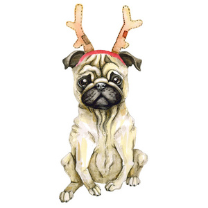 帕格狗在圣诞老人的帽子庆祝新年。圣诞小狗。隔离在白色背景上。水彩鹿