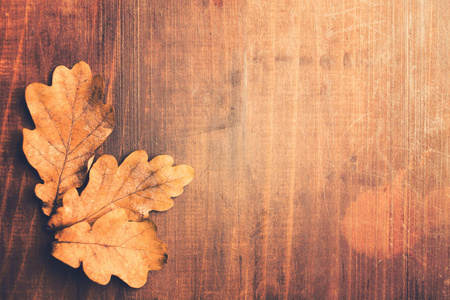 柔和的秋天相片与橡木叶子在木头桌与拷贝空间