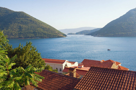黑山, Kotor 湾。Kotor Verige 海峡 最窄的部分和 Perast 古镇的红屋顶景观