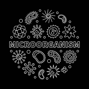 微生物向量圆微生物学概述例证