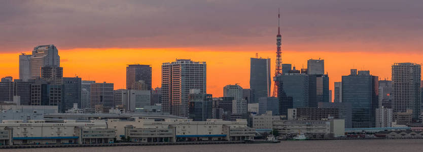 夕阳下的东京城市夜景