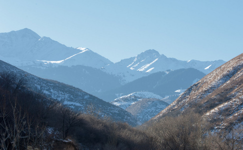 田北俊议员山