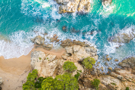 加泰罗尼亚布拉瓦海岸的鸟图。西班牙充满岩石和海浪的海滩