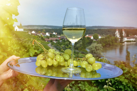 妇女拿着托盘与葡萄酒和葡萄与葡萄园在 Rheinau 背景下