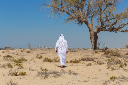 在沙漠中的城市图片