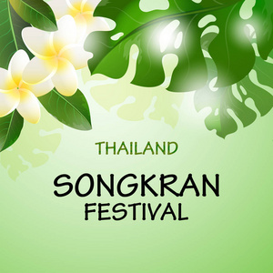 春节节日花泰国的宋干节.泰国节日矢量贺卡与白色的花和绿叶.