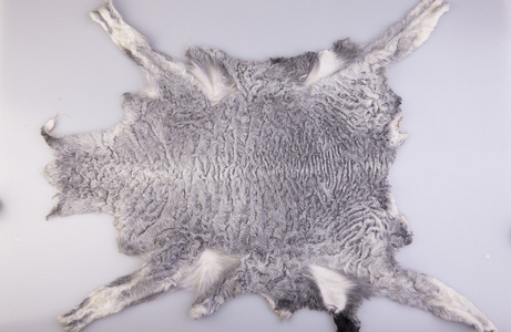 灰色毛皮整的灰色绵羊毛皮片照片