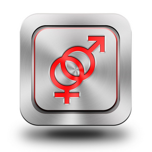 男性与女性的象征铝光泽图标 按钮 标志