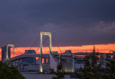 夕阳下的东京城市夜景