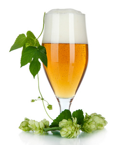 啤酒酒花图片-啤酒酒花素材-啤酒酒花插画-摄图新视界