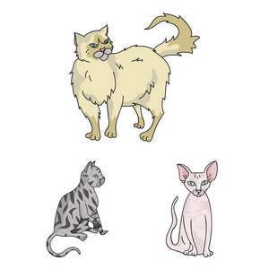 品种的猫卡通图标集收集设计。宠物猫矢量符号股票网页插图