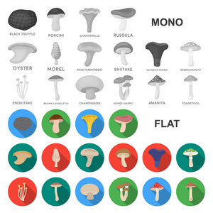有毒和可食用的蘑菇平面图标集的设计。不同类型的蘑菇矢量符号库存 web 插图