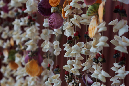 贝壳挂在字符串为装饰纪念品从海边美丽的贝壳挂在纪念品商店前摄影图