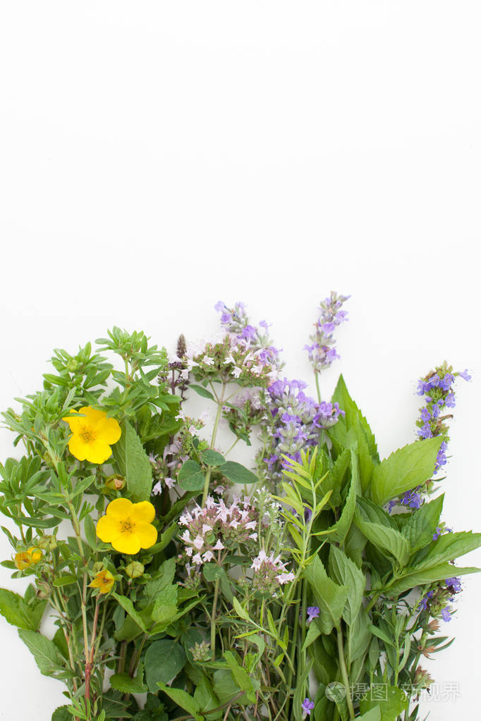 茶叶草药: 薄荷, 薰衣草, 牛至, 百里香, 面条.文本位置照片-正版商用
