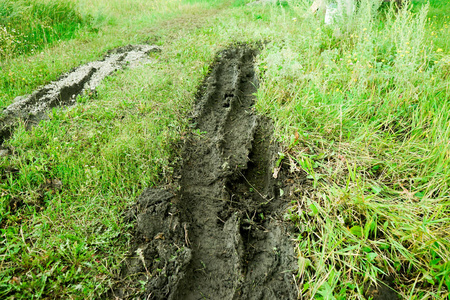 泥车胎迹雨后绿草场