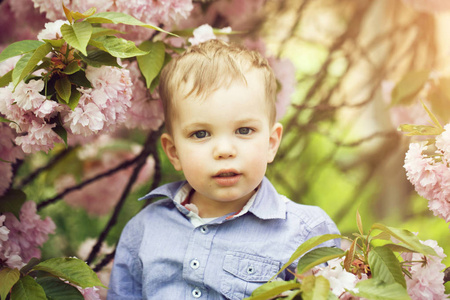可爱的小宝贝男孩之间粉红盛开的花朵