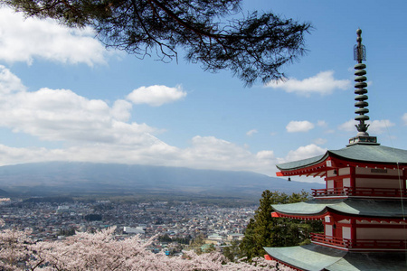 Chureito 塔和作为前景的樱花和富士山为背景，旅行的目的地在日本