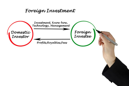 外国投资