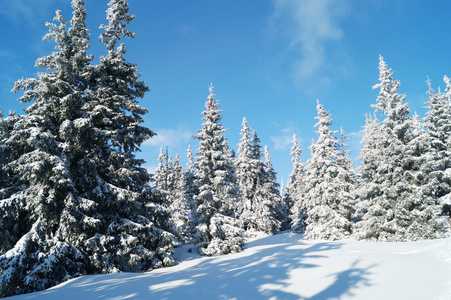 欧洲山Krkonose